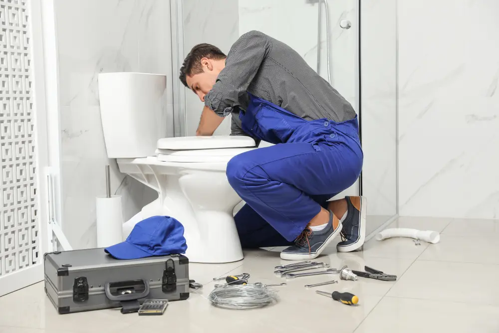 Toilet Installation in Ross